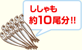 ししゃも約10尾分！！