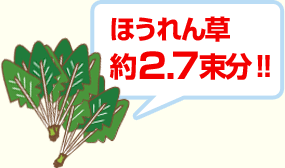 ほうれん草約2.7束分！！