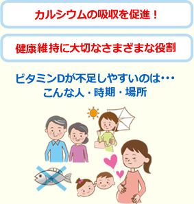 カルシウムの吸収を促進！健康維持に大切なさまざまな役割