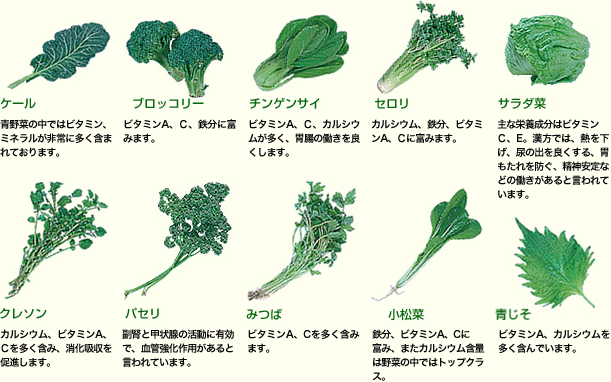 無農薬契約栽培で育った、安心・新鮮の高知産野菜 飲みやすさの秘密は10種類のバランス