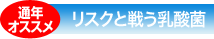 【通年オススメ】リスクと戦う乳酸菌